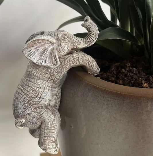 Adorable Elephant Planter Climber